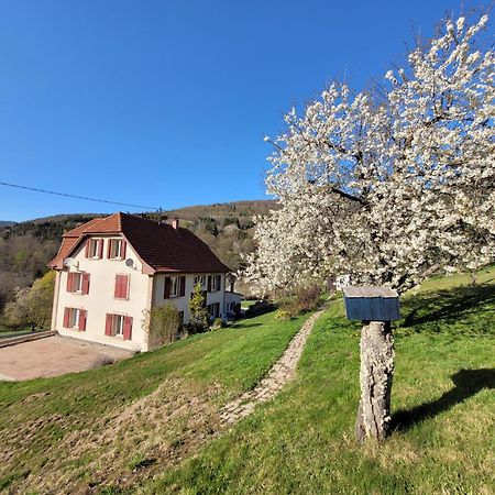 Domaine De La Charriere Sur 63 Ares - 8 Pers Grand Confort Villa Neuviller Kültér fotó