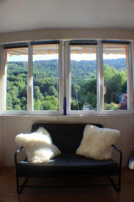 Domaine De La Charriere Sur 63 Ares - 8 Pers Grand Confort Villa Neuviller Kültér fotó