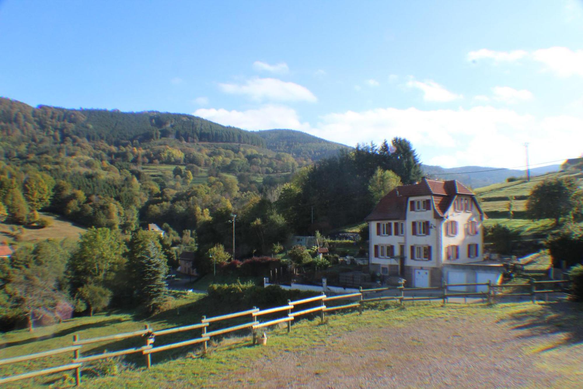 Domaine De La Charriere Sur 63 Ares - 8 Pers Grand Confort Villa Neuviller Kültér fotó